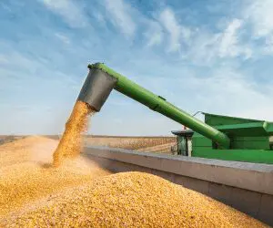 Webinar: Farm Financial Health & Credit Risk: Insights for Ag Lenders in 2025