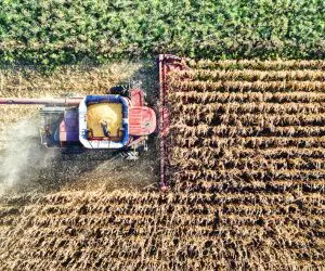2026 Ag Outlook: What Community Banks Need to Watch Now